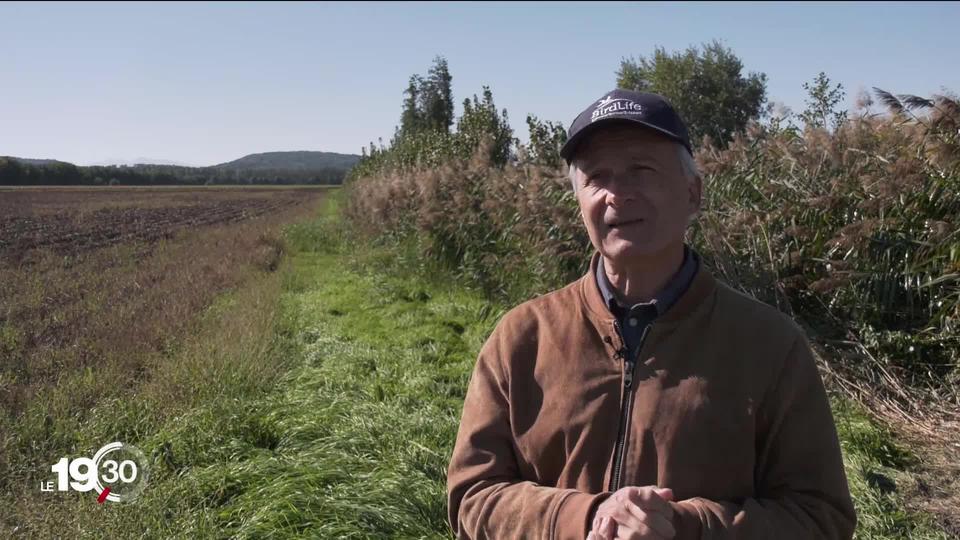 L’initiative pour la biodiversité, discutée lundi au Parlement fédéral, divise face aux problématiques énergétiques et agricoles