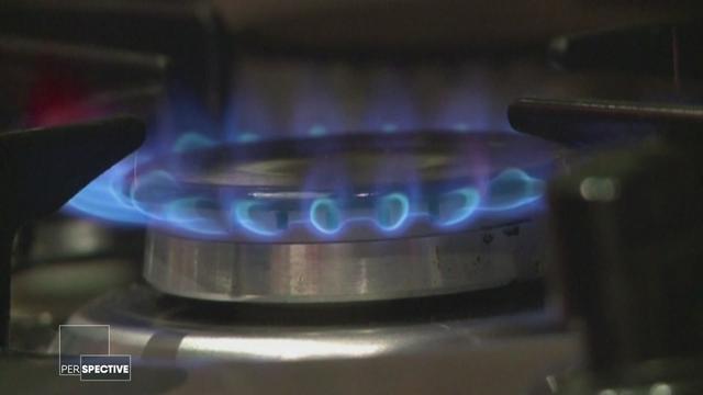 L’Europe inquiète face au risque de pénurie de gaz