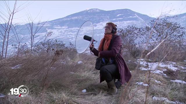 Le silence, un luxe rare en voie de disparition ? Enquête et reportage