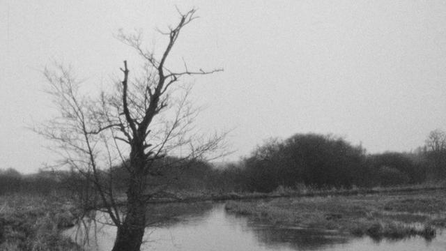 Une promenade dominicale le long de la rivière la Versoix en 1968. [RTS]