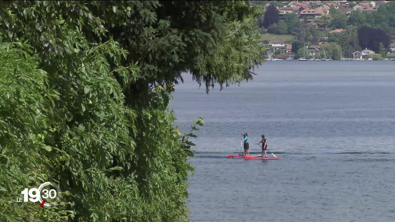 Les autorités genevoises offrent un nouvel accès aux rives du lac Léman à sa population