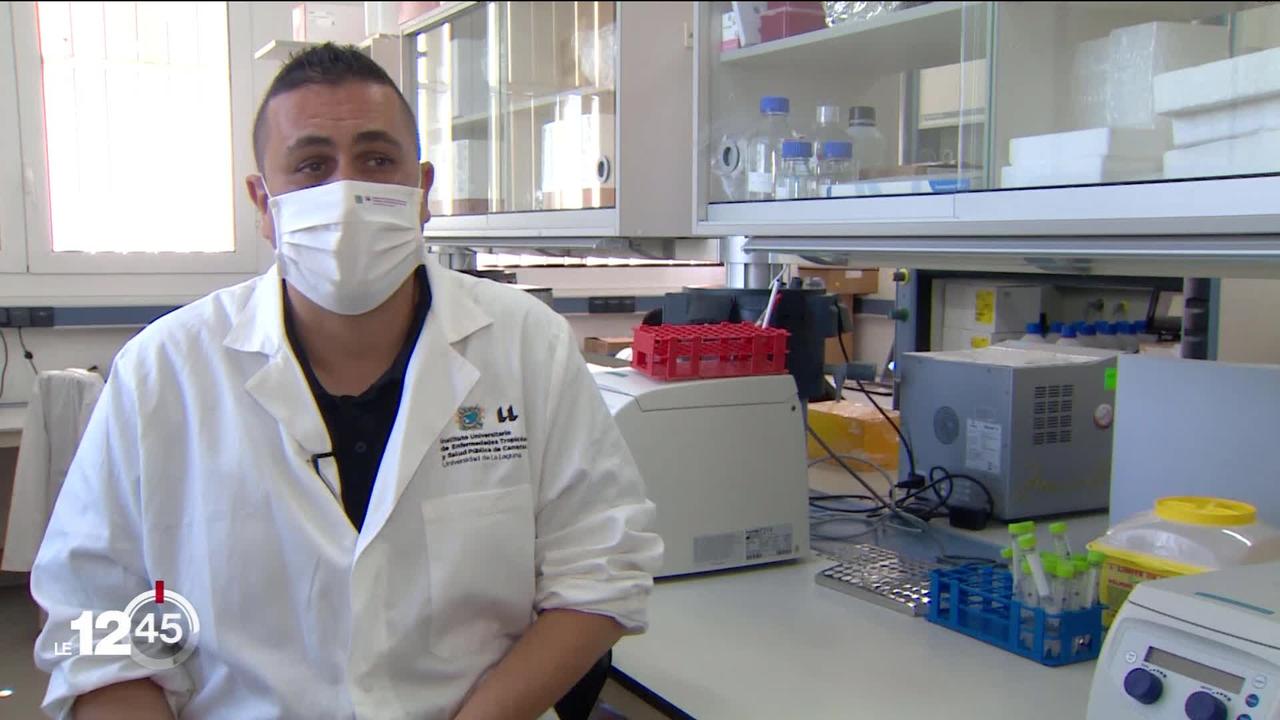 Un premier cas de la variole du singe a été détecté en Suisse. L'OMS s'inquiète de l'augmentation du nombre de cas en Europe