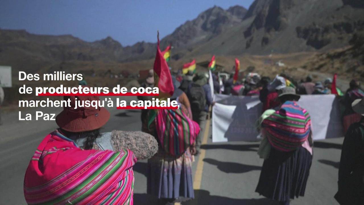 Bolivie: des producteurs de coca en conflit pour le contrôle du marché légal