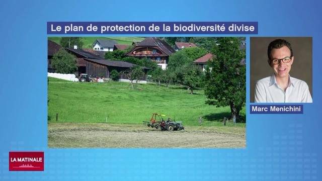 La droite s’oppose aux mesures de protection de la biodiversité du Conseil fédéral pour protéger les milieux agricoles