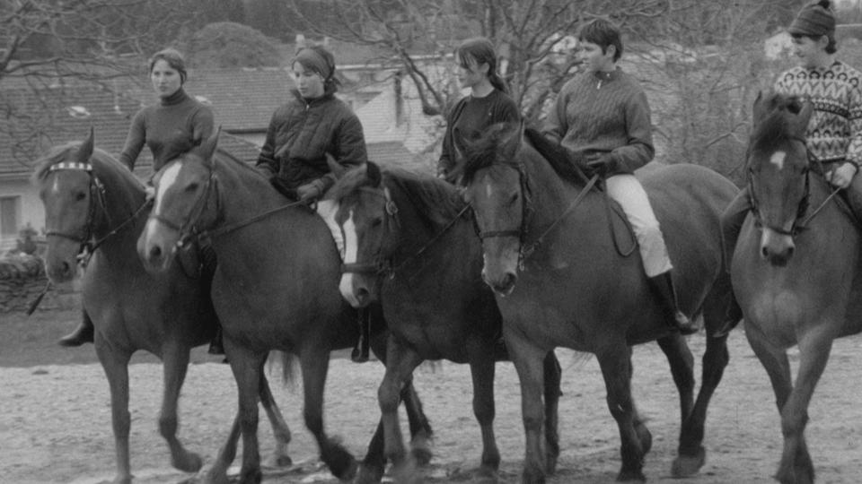 Les cavalières des Franches-Montagnes