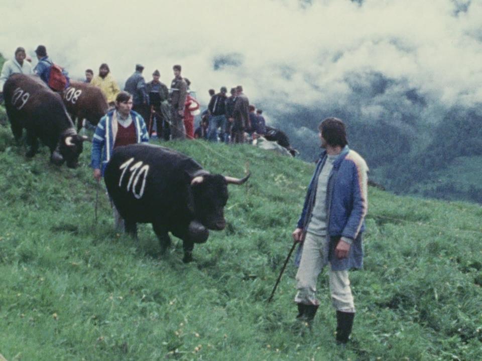 Vive les reines : passion dans la vallée