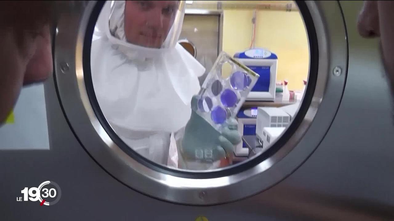Plus de 482 laboratoires dans le monde sont à la recherche d’un vaccin contre le Covid de seconde génération.