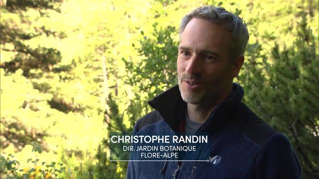 Entretien avec Christophe Randin, directeur du Jardin botanique Flore-Alpe