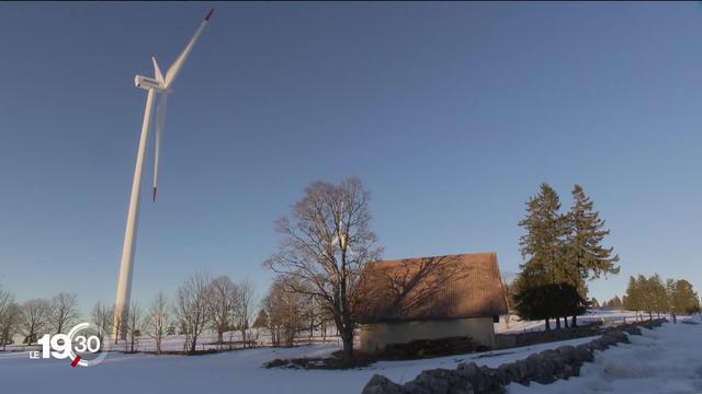 Les éoliennes ne tuent que peu d’oiseaux chaque année, mais elles peuvent toucher des espèces rares