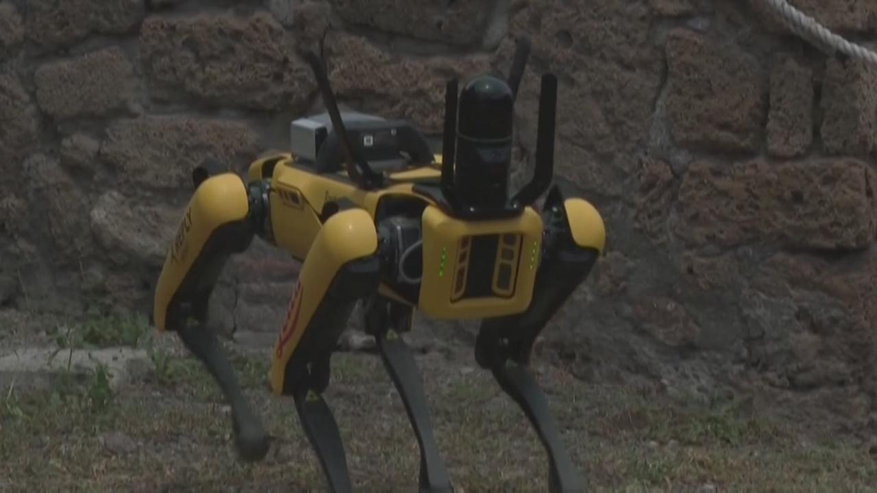 "Spot", le drôle de chien-robot qui surveille les ruines de Pompéi