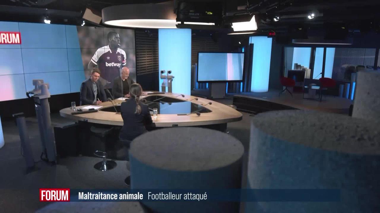 Le footballer Kurt Zouma dans la tourmente après avoir maltraité son chat