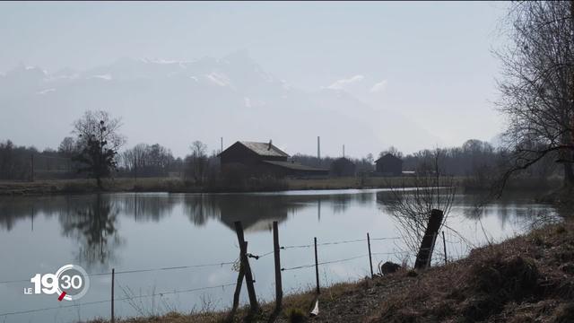 Inquiétude autour des perfluorés, des polluants éternels, omniprésents dans l’environnement