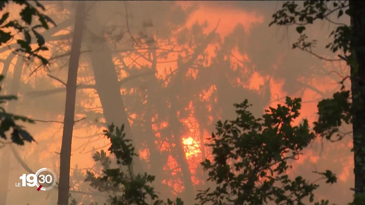 France: les incendies de forêts ont ravagé 4000 hectares près du bassin d'Arcachon et de la dune de Pilat