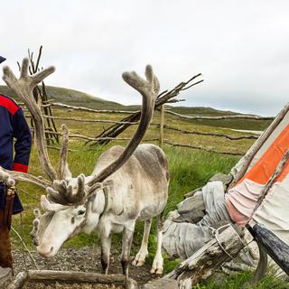 Éleveur de cerfs et de rennes vêtu de vêtements nationaux les Sâmes en Norvège [Depositphotos - Vlada.Z]