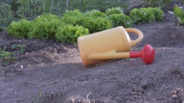 Le Canton de Vaud lance des analyses à large échelle après la pollution à la dioxine qui a contaminé de nombreux jardins à Lausanne