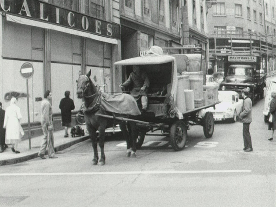 Le cheval dans l'art et dans la vie