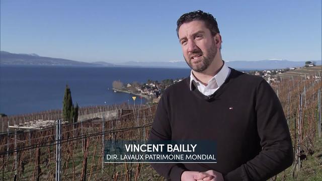 Entretien avec Vincent Bailly, directeur de Lavaux Patrimoine mondial