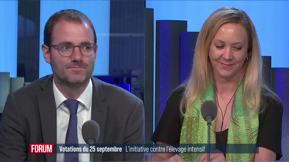 Le grand débat - Interdire l'élevage intensif en Suisse?