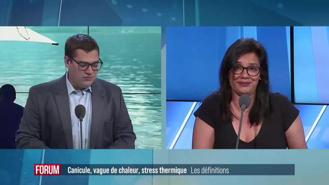 Canicule, vague de chaleur, stress thermique: qu'est-ce que ça veut dire au juste?