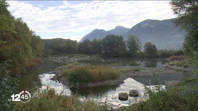 Renaturation à Sierre de l'ancienne gravière de Pramont après 7 ans de travaux