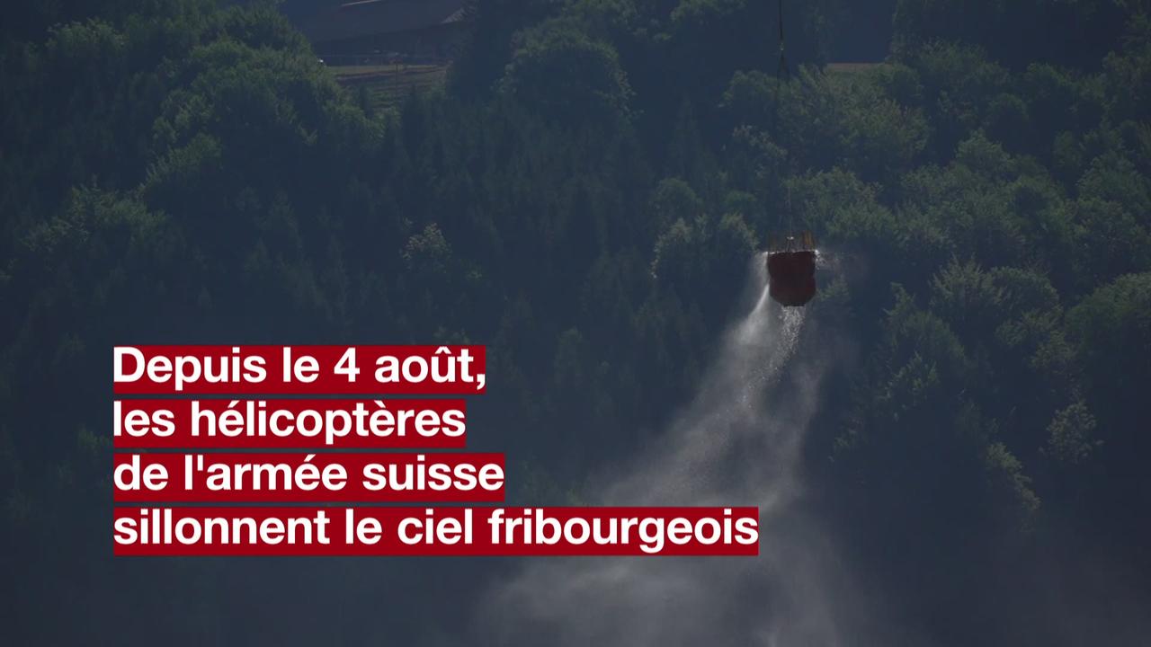 Les hélicoptères de l'armée suisse à la rescousse des alpages fribourgeois