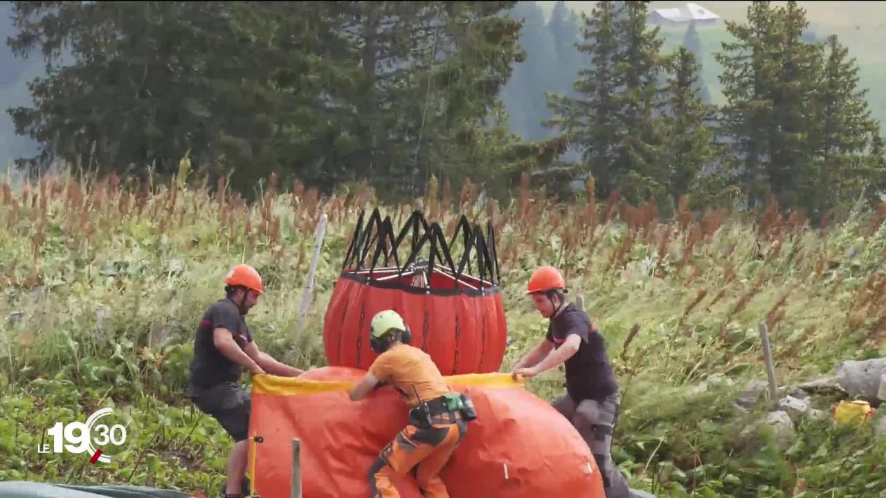 Des hélicoptères ravitaillent en eau les vaches du Pays d’Enhaut (VD), dont les alpages sont asséchés par la canicule