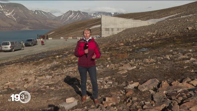 Les semences de la planète stockées et sécurisées à Longyearbyen