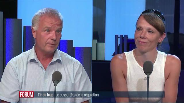 Comment réguler le tir du loup? Débat entre Claude Baehler et Isabelle Germanier