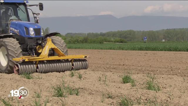 Les agriculteurs suisses paient le prix fort