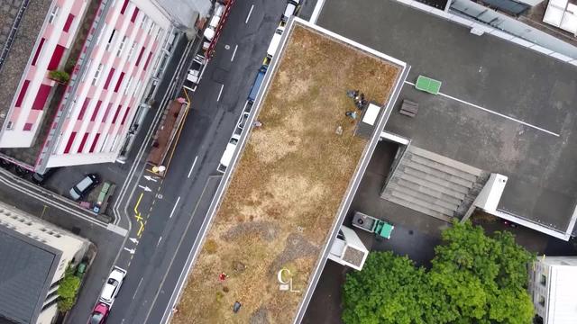 Sur les toits végétalisés de Lausanne, des espaces de biodiversité pour la flore et la faune