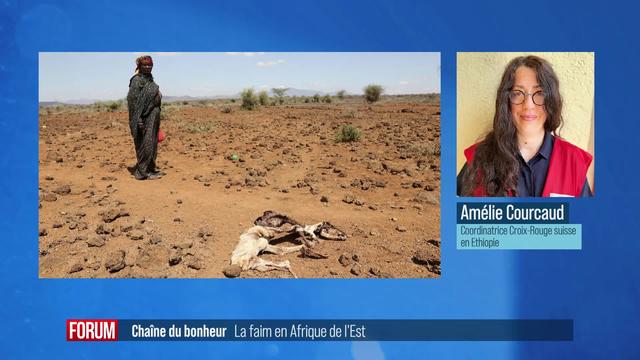 Chaîne du Bonheur et la faim en Afrique de l'Est: interview d'Amélie Courcaud