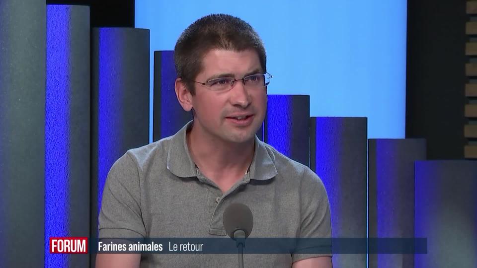 Les farines animales à nouveau autorisées pour nourrir le bétail suisse: interview de Loïc Bardet (vidéo)