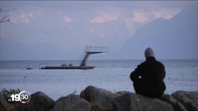 Indispensables au milieu culturel, les bénévoles sont souvent victimes de harcèlement durant leur mission. Témoignage