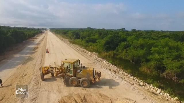 Sous Bolsonaro, la déforestation s’est accélérée en Amazonie