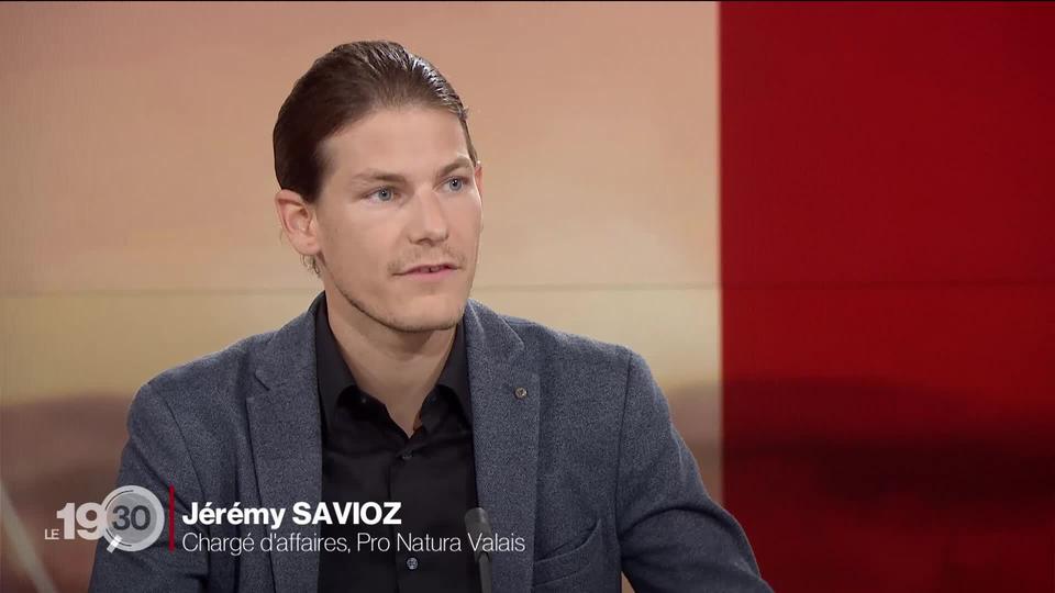 Jérémy Savioz, chargé d'affaires à Pro Natura VS, s'oppose aux grands projets solaires dans les Alpes valaisannes