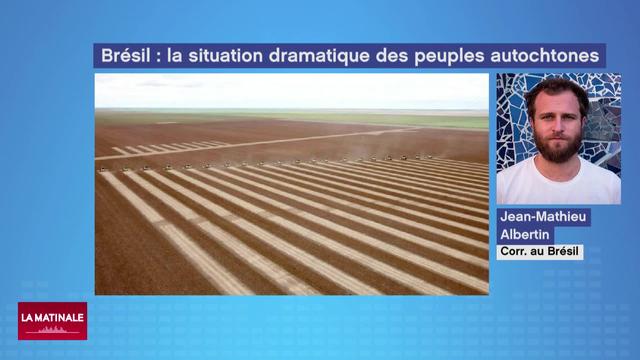 Au Brésil déforestation est synonyme de violence pour les peuples autochtones