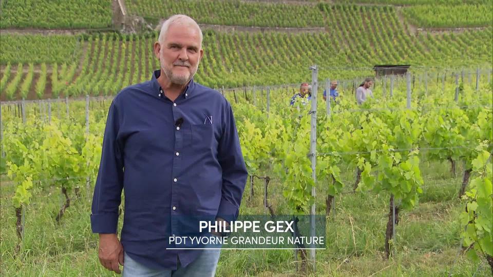 Entretien avec Philippe Gex, viticulteur et président Yvorne Grandeur Nature