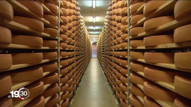 Les Américains pourront produire et vendre leur fromage sous l’appellation "Gruyère"