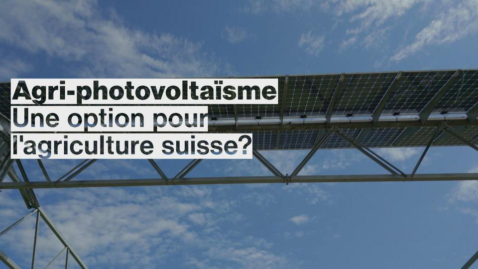 Agri-photovoltaïsme, une option pour l'agriculture suisse