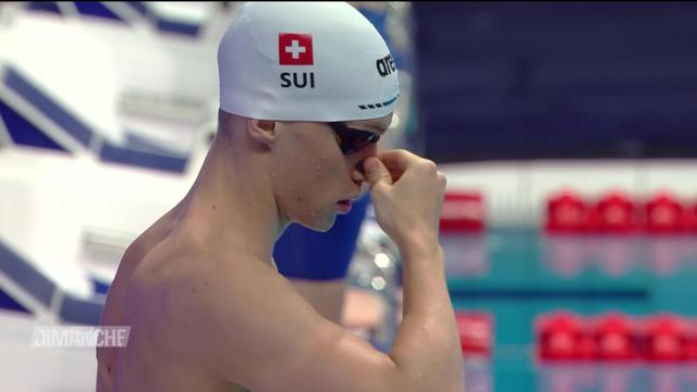 Natation:  la préparation de l'équipe suisse pour les championnats du monde de natation