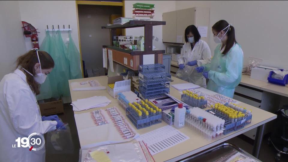 Covid-19: Les laboratoires suisses sont à leurs limites pour analyser les tests PCR