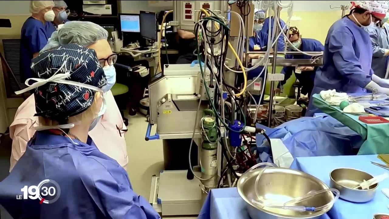 Pour la première fois, des chirurgiens américains ont réussi la greffe d'un cœur de cochon chez un patient humain.