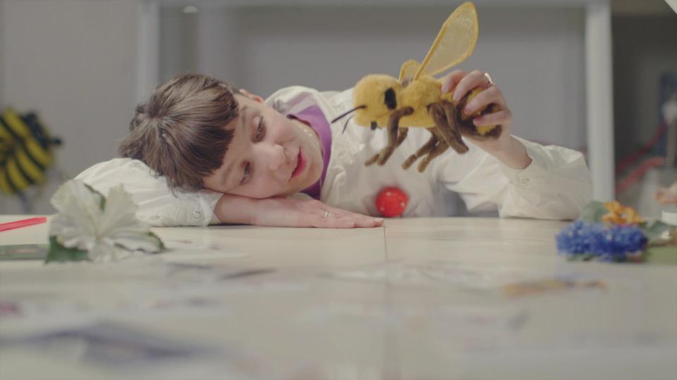 La nature va à l'école - La guêpe