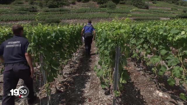 En Valais, la police patrouille pour sensibiliser à la pénurie d'eau