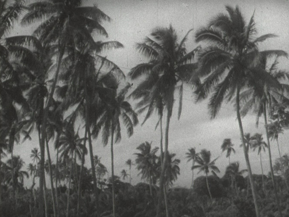 Les îles Tonga