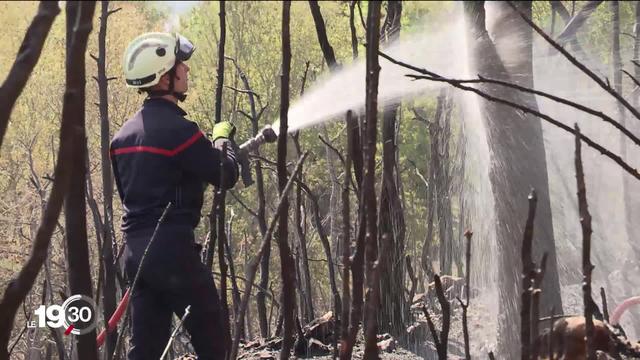 Dans le Jura français, les pompiers s'activent pour éviter de nouveaux départs de feux après avoir maîtrisé de vastes incendies