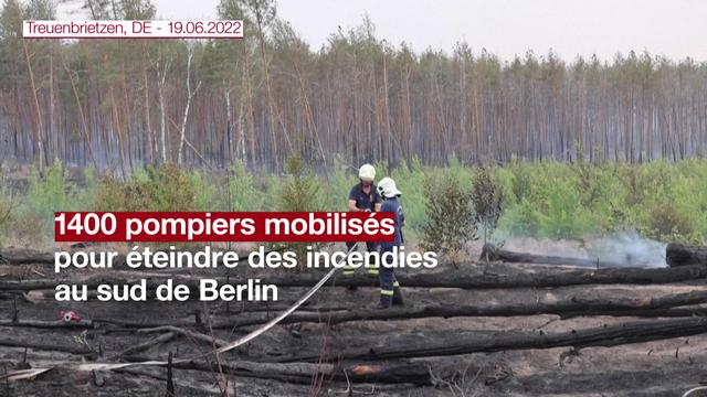 1400 pompiers mobilisés au sud de Berlin