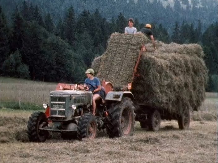 L'été jurassien : vu du chalet