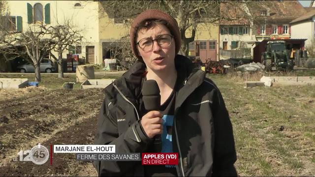 Marjane El-Hout, co-gérante de la Ferme des Savanes à Apples (VD) défend ce projet d’agroforesterie régénératrice nommé pour le Prix Climat