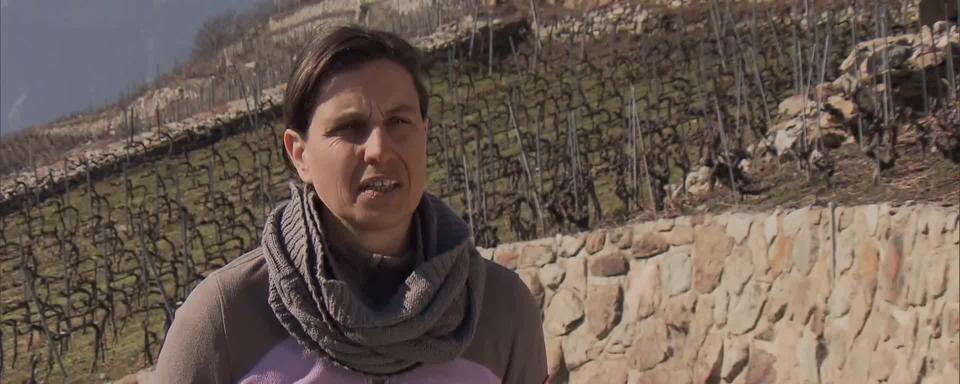 Entretien avec Anne-Laure Décaillet Paccolat, co-présidente de la Fédération valaisanne des vignerons